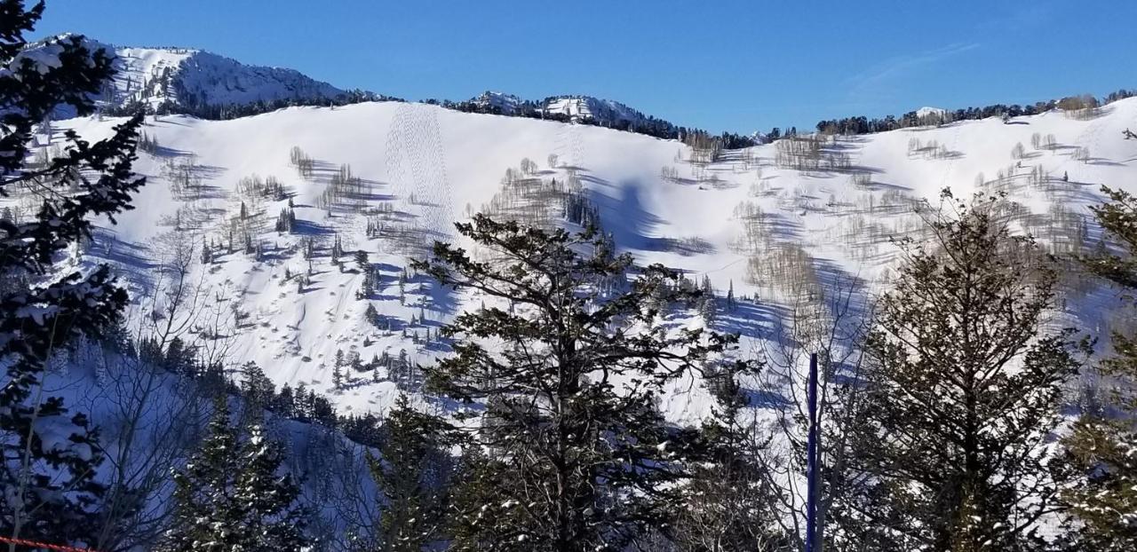 Stunning At Solitude, Steps From Chair Lift, East #103 Brighton ภายนอก รูปภาพ